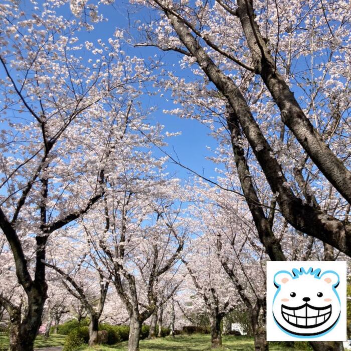 画像244