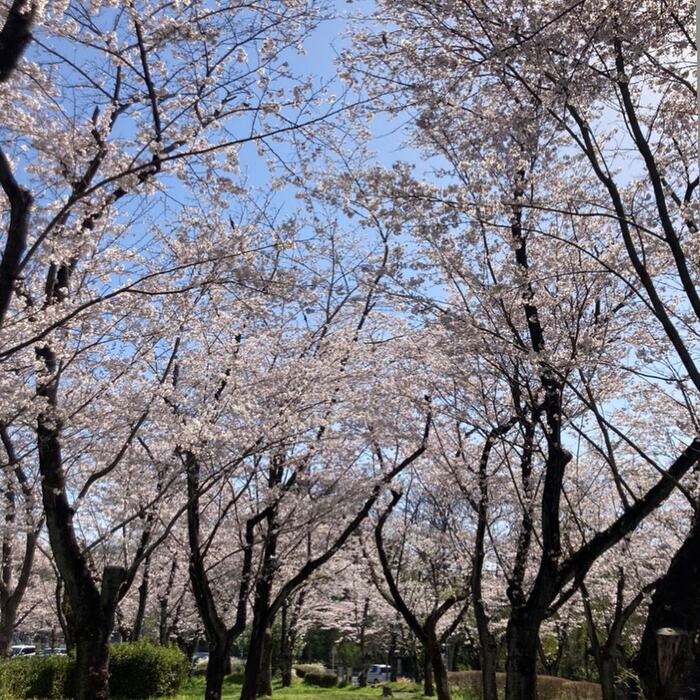 画像245