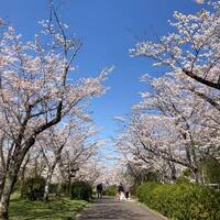 画像246