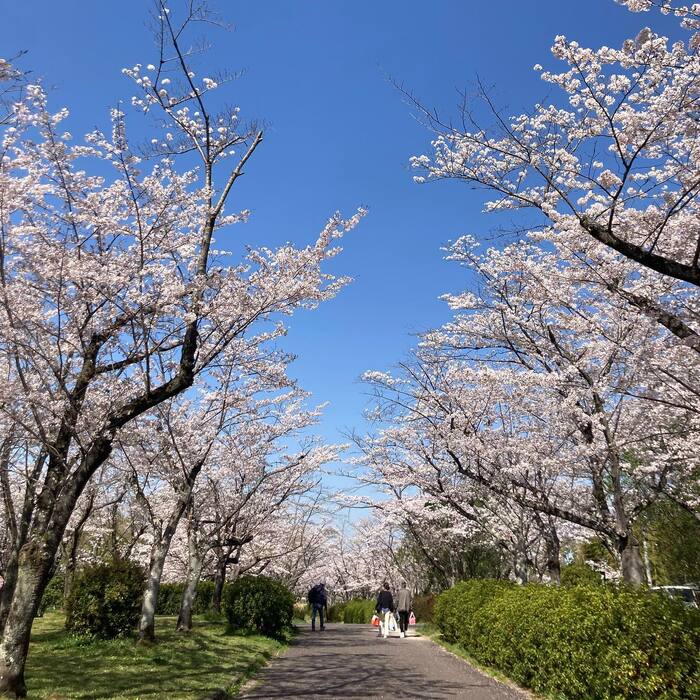 画像246