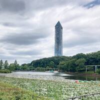 画像304