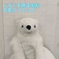 画像308