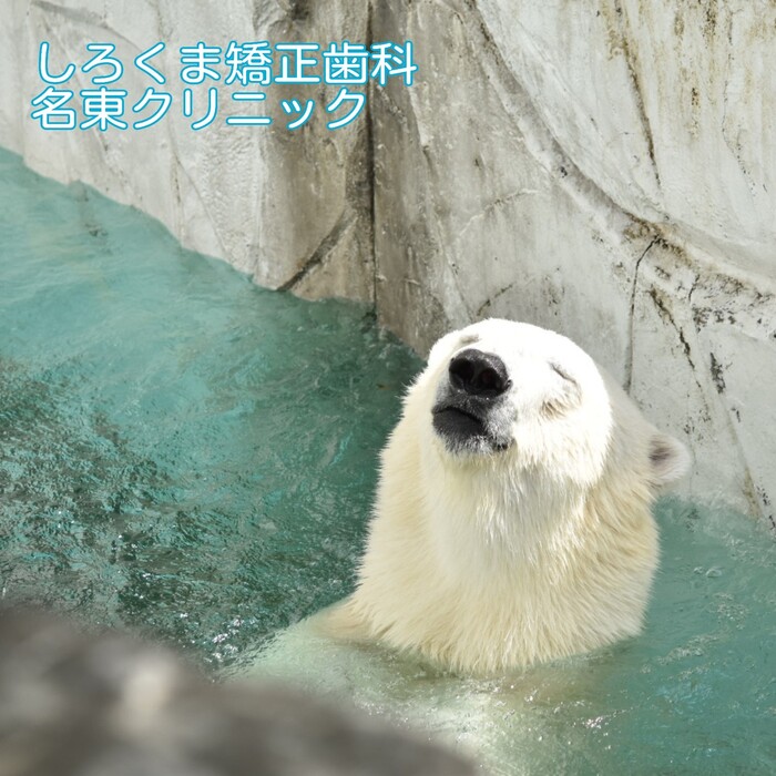 画像331