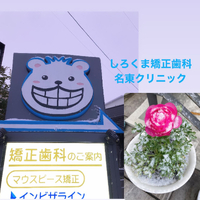 画像439