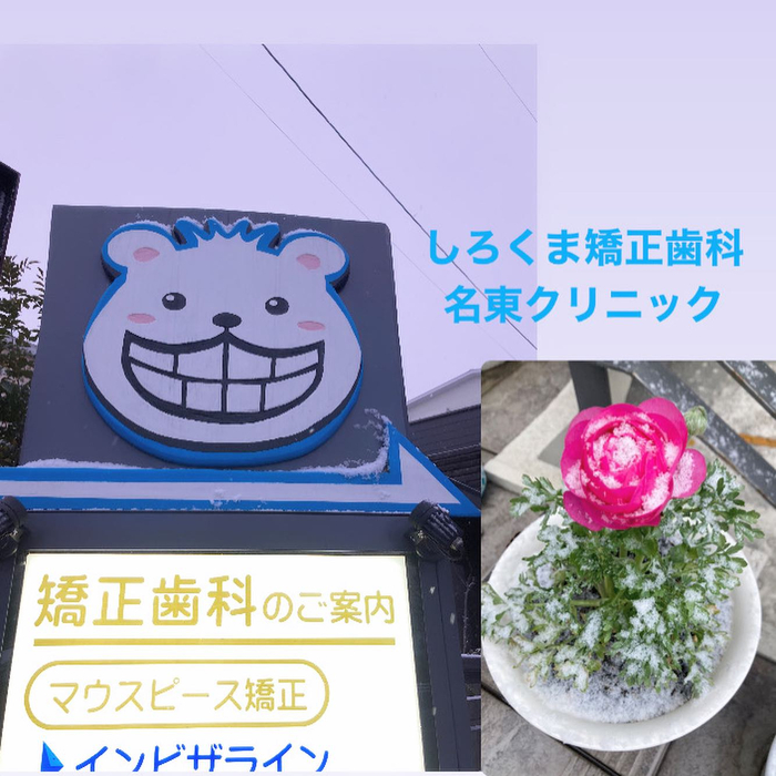 画像439