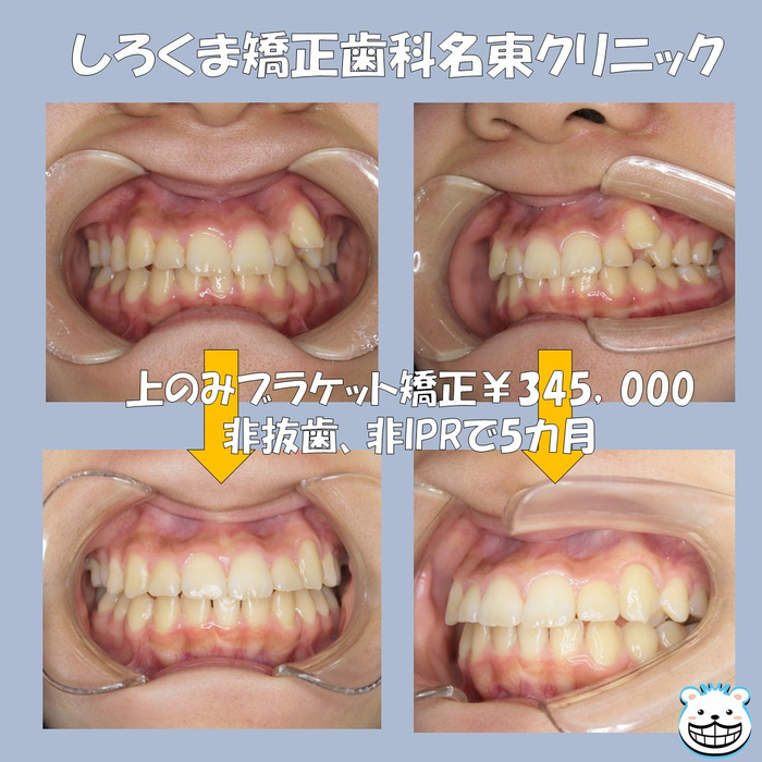 画像443