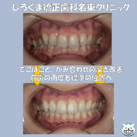 画像498