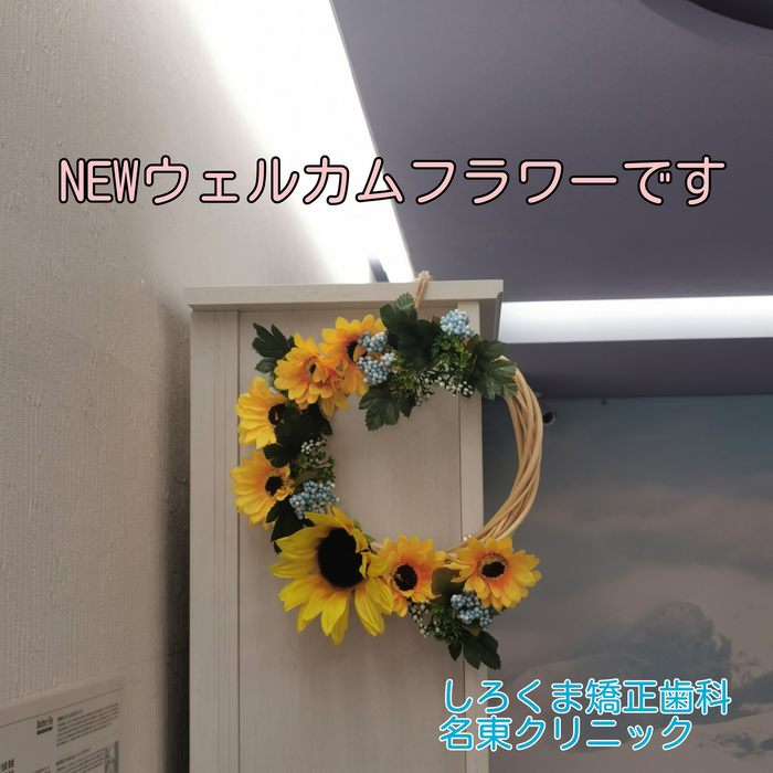 画像501