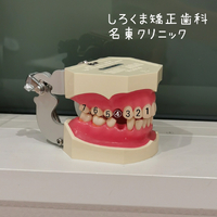 画像522