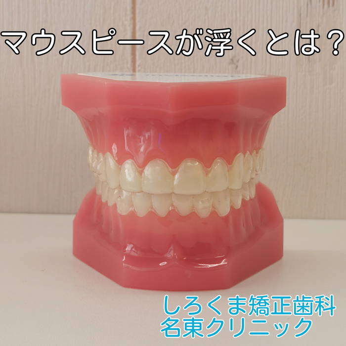 画像536