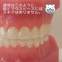 画像538