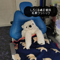 画像546