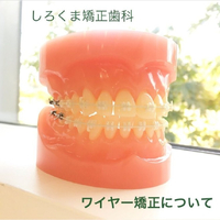 画像621