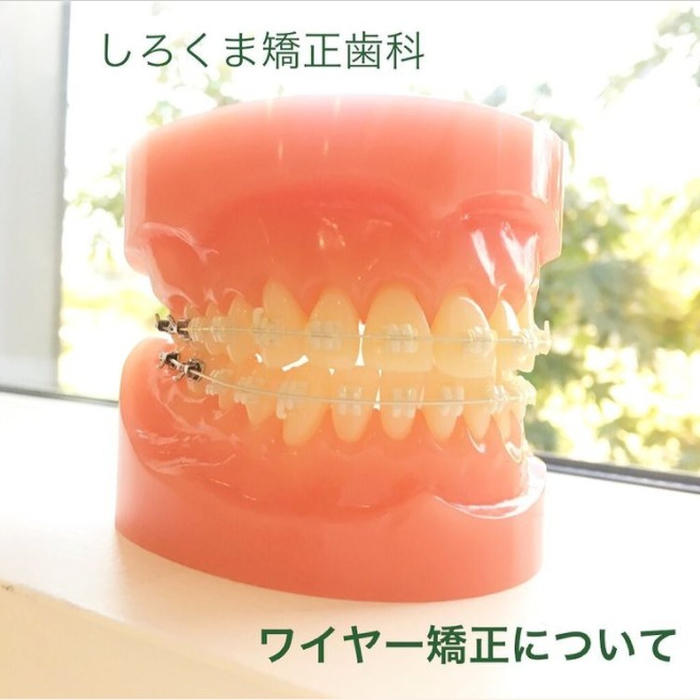 画像621