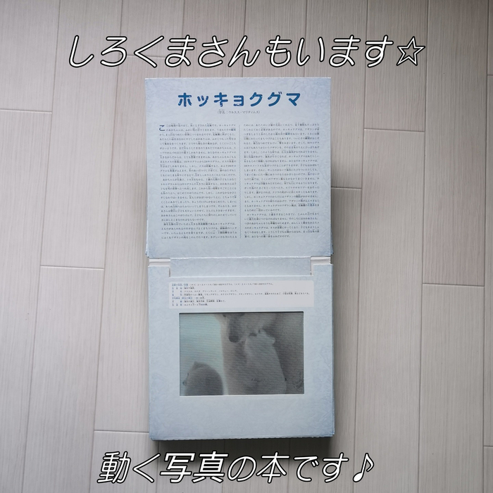 画像639